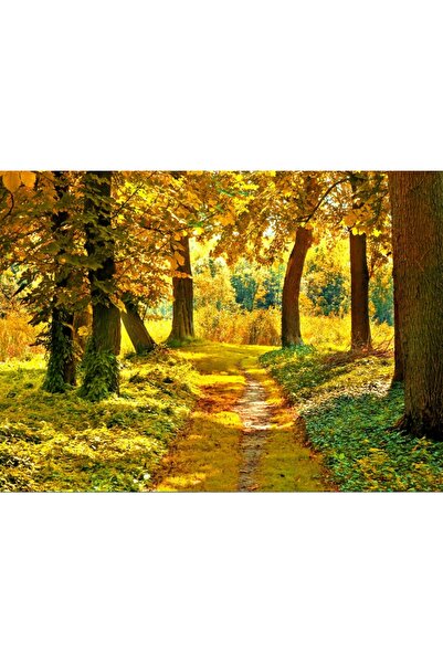media Tablou canvas Toamna in padure, 105 x 70 cm