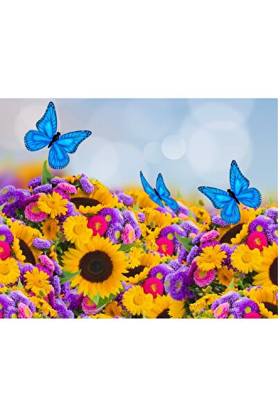 media Πίνακας σε καμβά: Ανθισμένο χωράφι με πεταλούδες, 45 x 30 εκ.