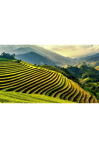 media Πίνακας σε καμβά, Ανάγλυφη Επίπεδη Επιφάνεια, 45 x 30 εκ.