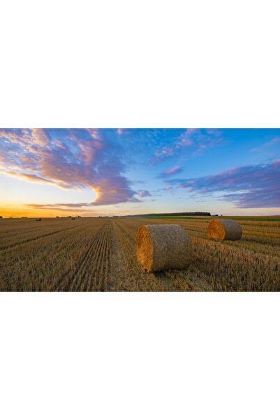 media Πίνακας σε καμβά Φθινόπωρο στο χωράφι, 60 x 40 εκ.