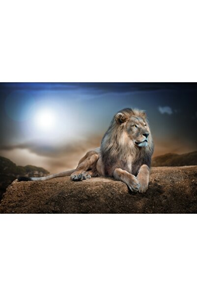 media Tablou canvas Regele leu, 105 x 70 cm