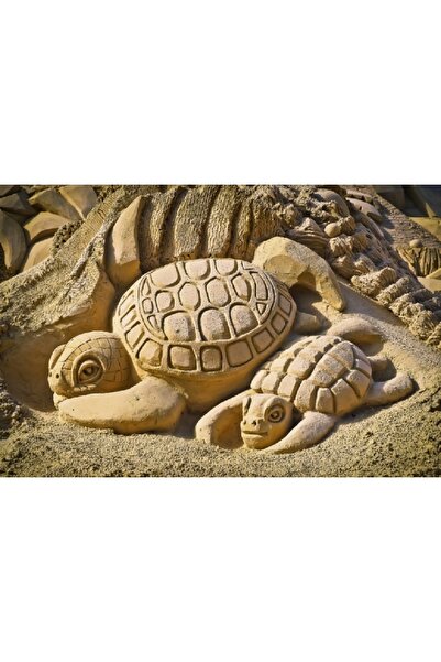 media Πίνακας σε καμβά Βάτραχοι της άμμου, 60 x 40 εκ.