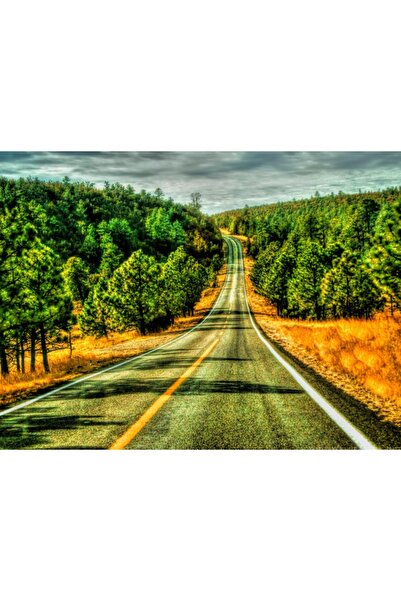 media Πίνακας σε καμβά Ο Δρόμος των Ονείρων, 60 x 40 εκ.