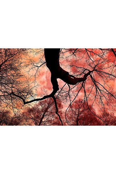 media Πίνακας σε καμβά: Ουρανός σε φλόγες, 60 x 40 εκ.