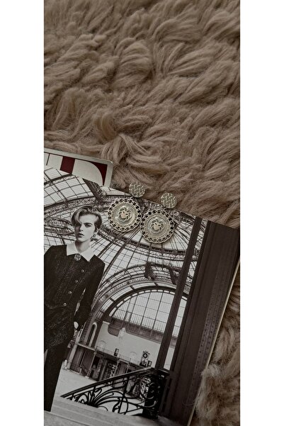 KAD COLLECTION Lion Steel Earrings