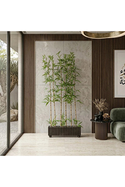 Al Hadaya Mall شجرة الخيزران مع قاعدة خشبية فاخرة - أسود - 60x13x180 سم