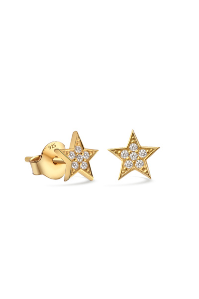 jelux silver Gümüş 925 Ayar 6 mm Yıldız Zirkon Taşlı Çivili Gold Küpe