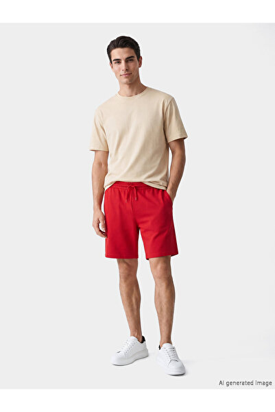 LC Waikiki Regular Fit Men's Shorts