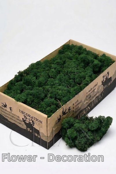 Cihan Çiçekçilik Mușchi norvegian șocat verde închis (mușchi de ren) 500 gr