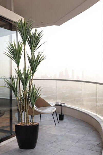 MARIA HOMES 180 cm Artificial Dracaena Tree with Black with Pot – 8 Branch In...