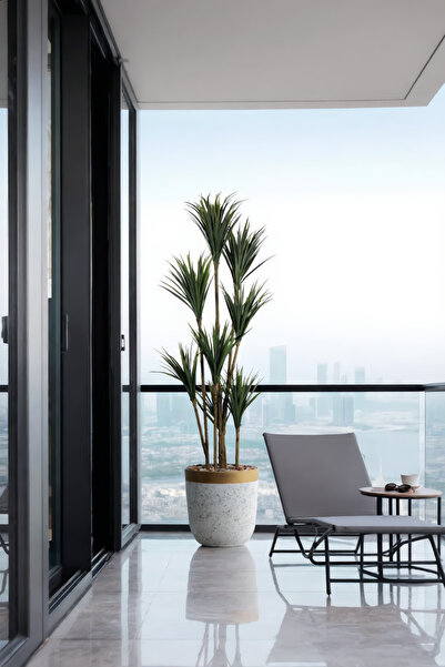 MARIA HOMES 185 cm Artificial Dracaena Tree with Marble with Pot – 8 Branch I...