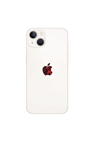 F&F Bro iPhone 13 Uyumlu Apple Sticker | Spiderman