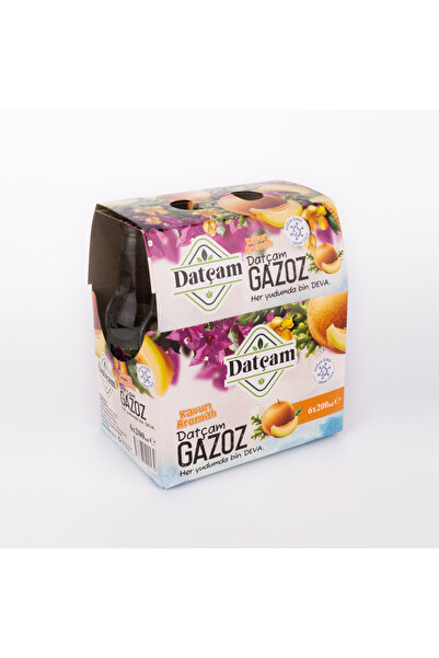 Datçam Kavun Aromalı Datça Gazozu 200 Ml 6'lı