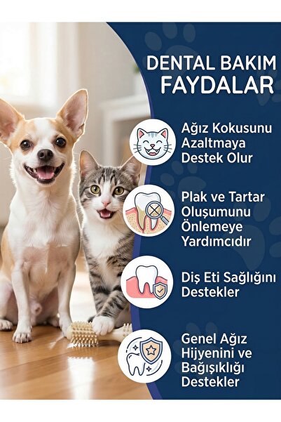Dr. Nature's Kedi ve Köpek Diş Temizleme Damlası 50 ml – Ağız Kokusu ve Dental Bakım Su Bakımı