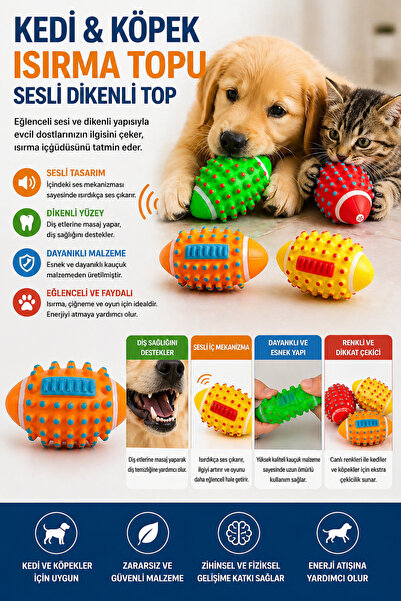 House Bird Kedi & Köpek Isırma Oyuncağı Sesli Dikenli Top – Dayanıklı Kauçuk ...