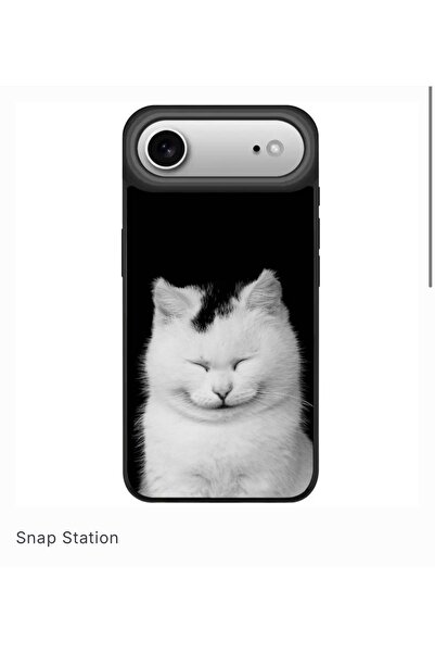 SNAPSTATIONRO Husa de protectie, MagSafe, iPhone 17 AIR - Funny_Cat_Black_White