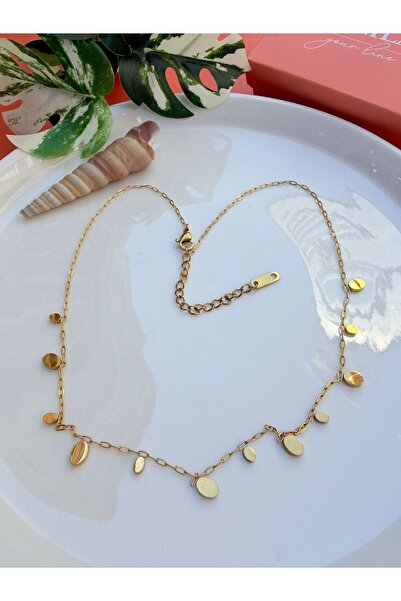 QUMLA OVAL PUL DETAYLI ÇELİK KOLYE ( BOY 39 +6 CM )