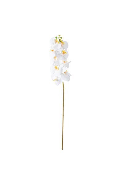 Mudo Concept ORKİDE DAL ÇİÇEK BEYAZ 92 CM