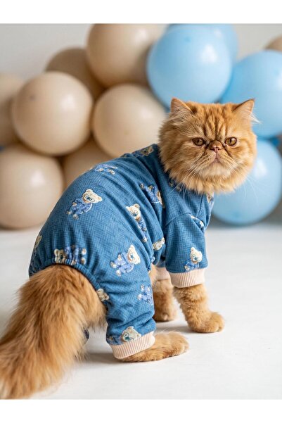 Kemique Teddy Blues Penye Kedi Tulumu | Ayıcık Desenli Kedi Pijaması | Küçük ...