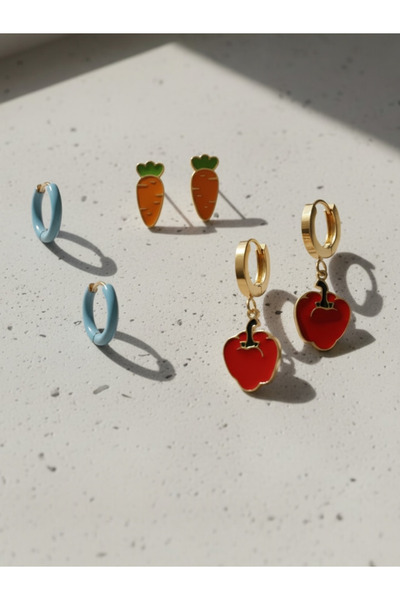 Bo Takı ve Aksesuar Steel Colored Set of 6 Earrings