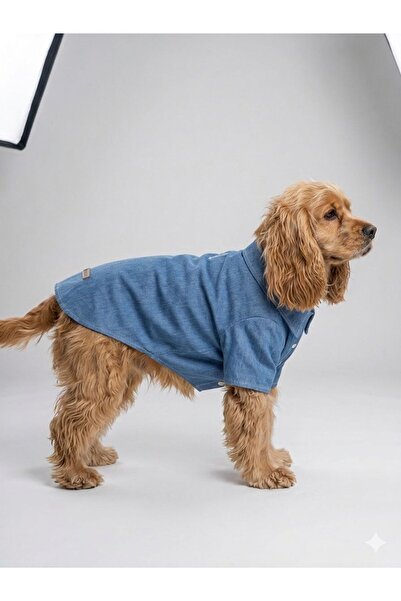 Luli Pet Denim Köpek Ceket- Mavi