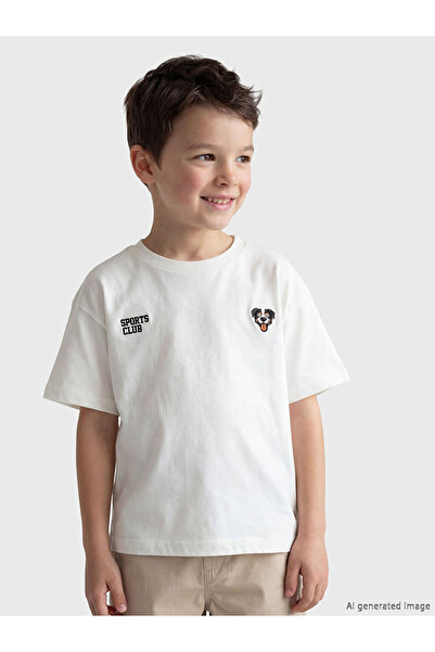 LC Waikiki Esvab • Modern & Distinctive Zero Roba Collar Embroidered Boys' T-...