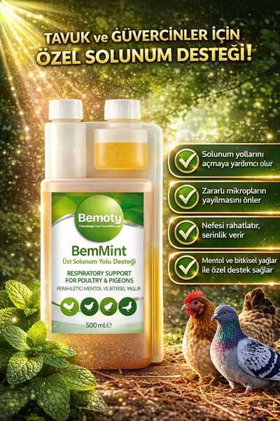 BEMOTY BEMMİNT 500 ML