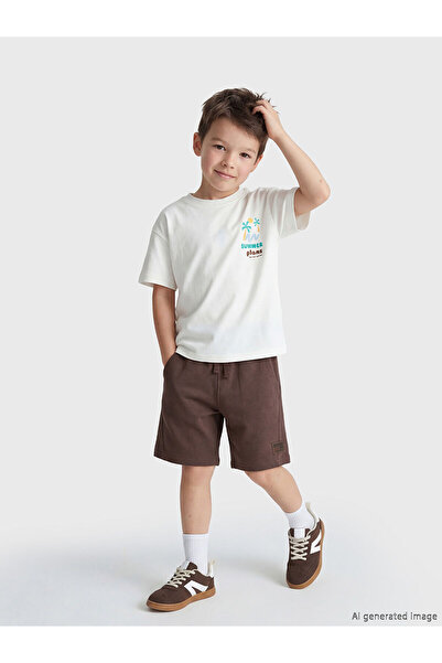 LC Waikiki Özmarka New Season Regular Fit Boys' Shorts