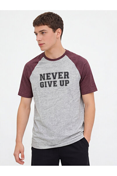QualiTee Erkek Gri “Never Give Up” Baskılı T-Shirt Raglan Kol