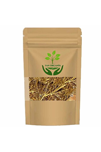 tan organik Angelica root 75 gr