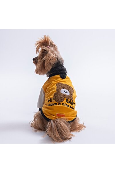 Pawstar Mustard-Hardal Baby Teddy Sweat Cat Dog Sweati - Cat Dog Outfit