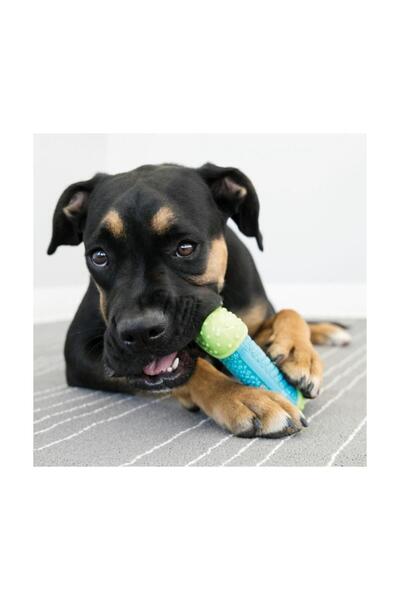 Kong Core Strength Kemik Şeklinde Köpek Oyuncağı M/L