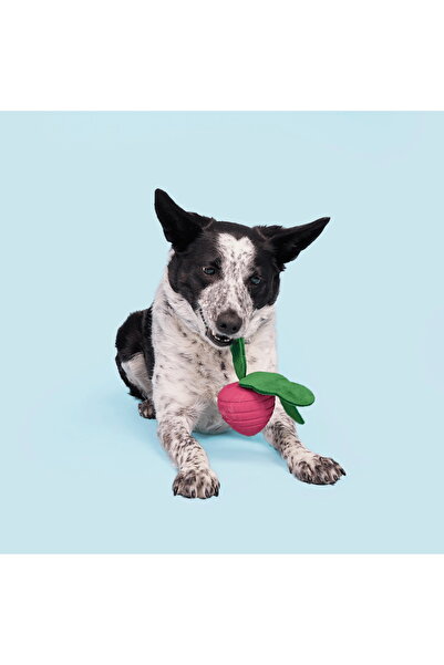 BARK Turnt Turp Dog Toy