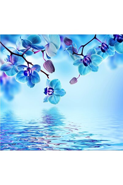 media Πίνακας σε καμβά με λουλούδια23, 70 x 70 εκ.