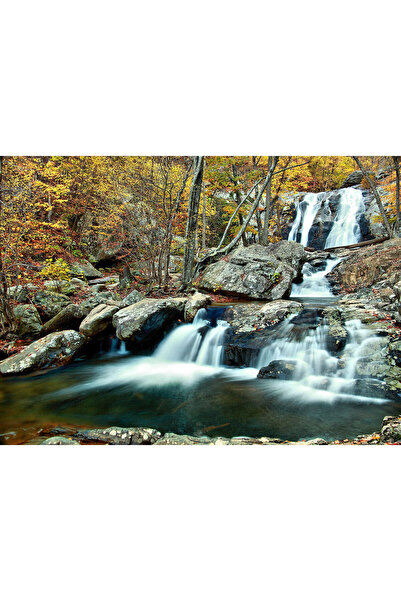 media Πίνακας σε καμβά Φθινοπωρινός Καταρράκτης, 60 x 40 εκ.