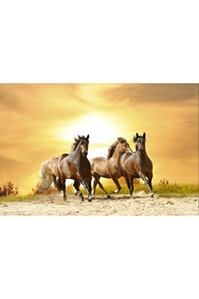 media Tablou canvas Cai in galop, 75 x 50 cm