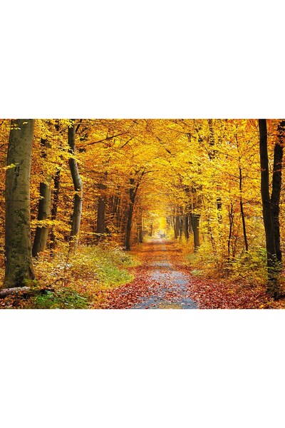 media Πίνακας σε καμβά Φθινοπωρινό Κίτρινο, 90 x 60 εκ.