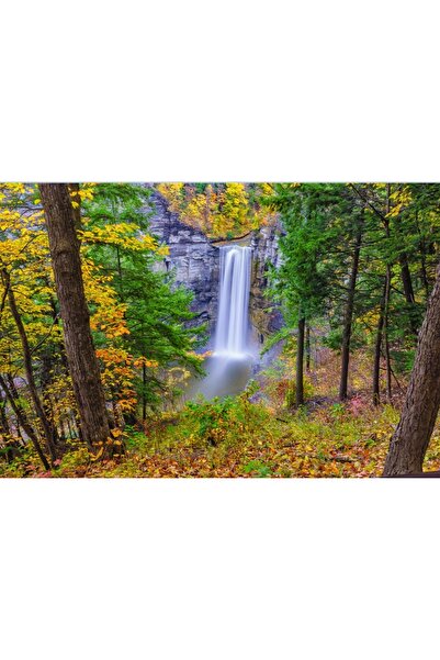 media Πίνακας σε καμβά, Θέα από το δάσος, 45 x 30 εκ.