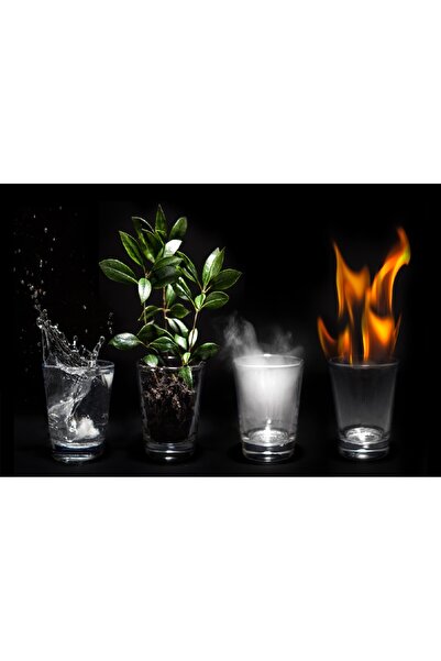 media Πίνακας σε καμβά Στοιχεία Γης 4, 105 x 70 εκ.