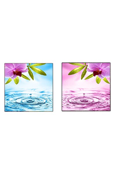 media Tablou canvas, set 2 buc flori1, 70 x 70 cm