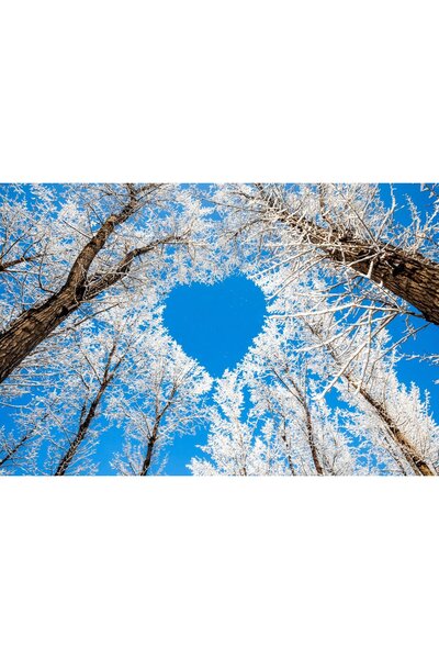 media Πίνακας σε καμβά Καρδιά του Πάγου, 45 x 30 εκ.