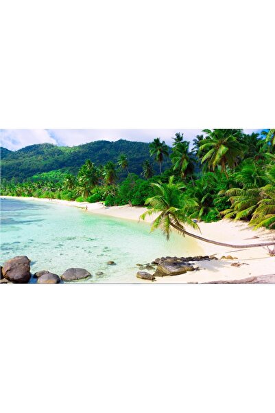 media Πίνακας σε καμβά Τροπικός Παράδεισος, 60 x 40 εκ.