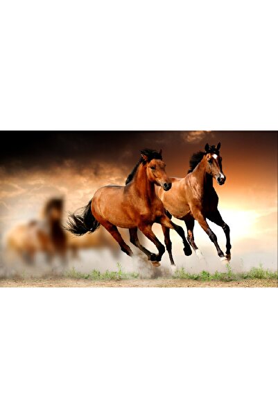 media Tablou canvas Armasari in galop60 x 40 cm