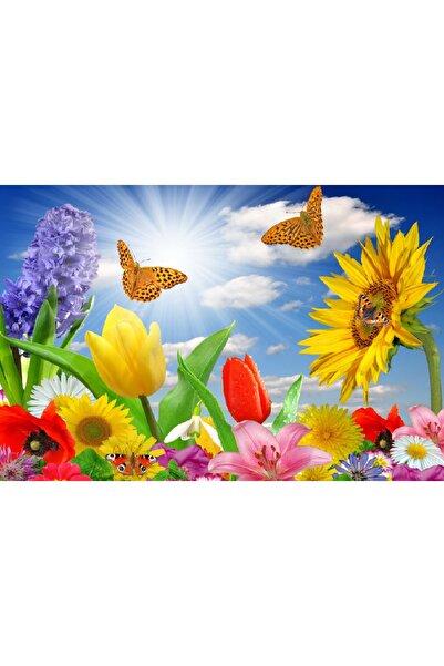 media Tablou canvas Fluturi si flori multicolore, 105 x 70 cm