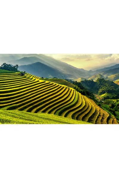 media Πίνακας σε καμβά, Αναλαφρισμένο Τοπίο, 90 x 60 εκ.