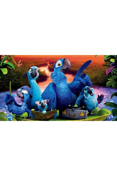 media Πίνακας σε καμβά Ρίο, 90 x 60 εκ.