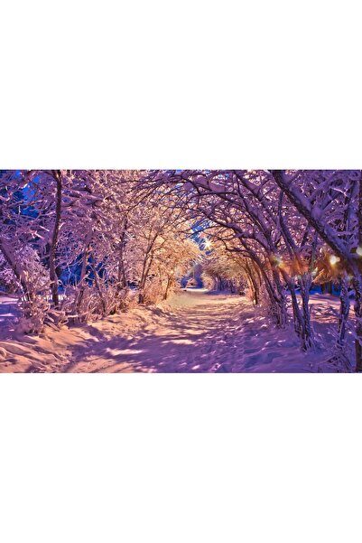 media Πίνακας σε καμβά Χειμερινό μωβ, 60 x 40 εκ.