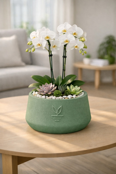 ESG PLUS Cookie 13 cm Yeşil Dekoratif Beton Kaktüs Sukulent ve Bonsai Saksısı...