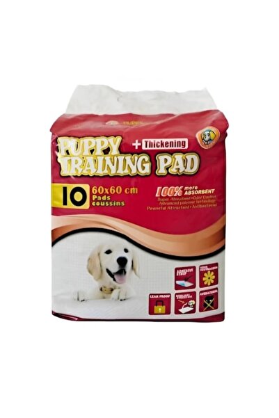 ANIMA LAND Set of 10 Absorbent Mats for Dogs 60×60 cm