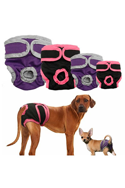Köpek Hijyen Regl Külodu